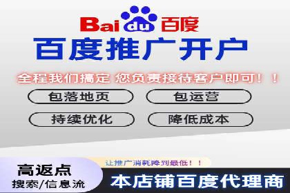 竞价广告的创意与执行：某快消品的营销突破